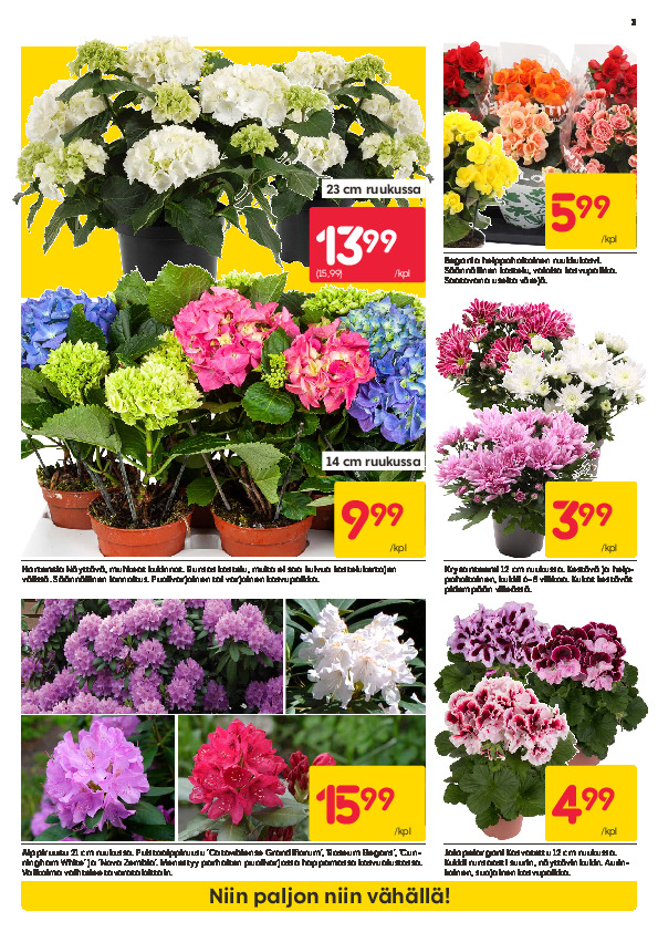 Rusta Viikkotarjoukset sivu 3