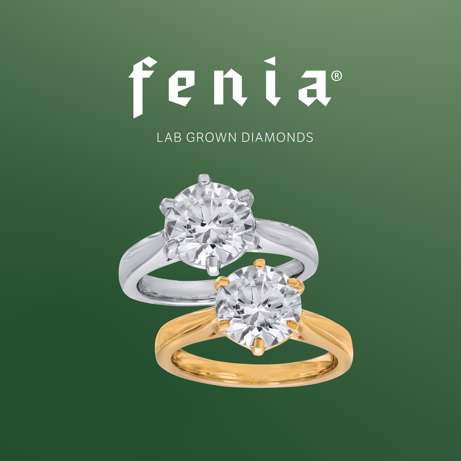 Kultajousi Fenia kuvasto