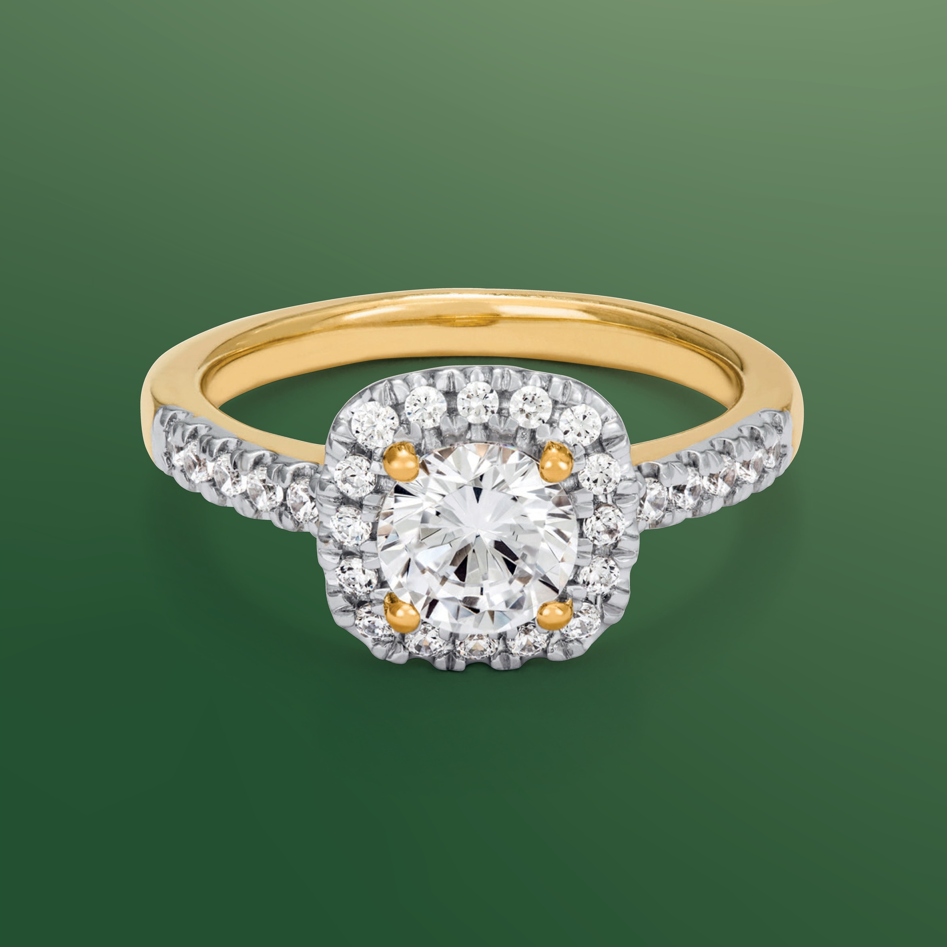 Kultajousi Fenia kuvasto sivu 11