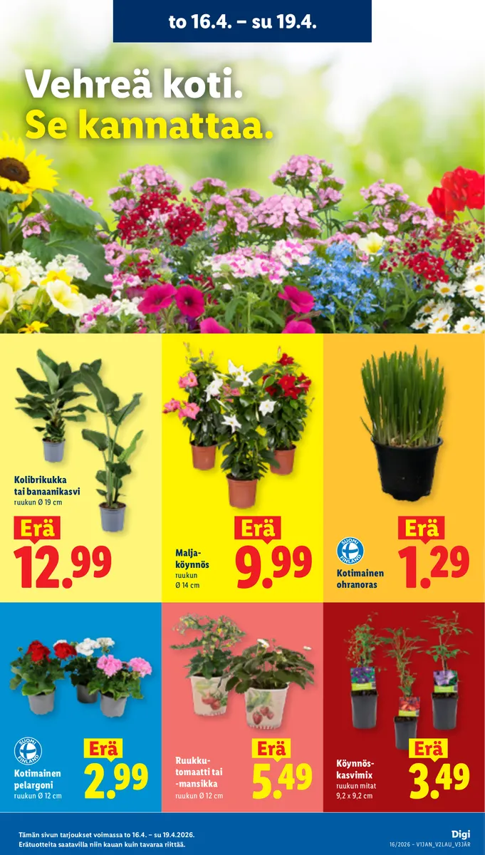 Lidl Koko Suomen Tarjoukset to 16.4. – ke 22.4. sivu 4