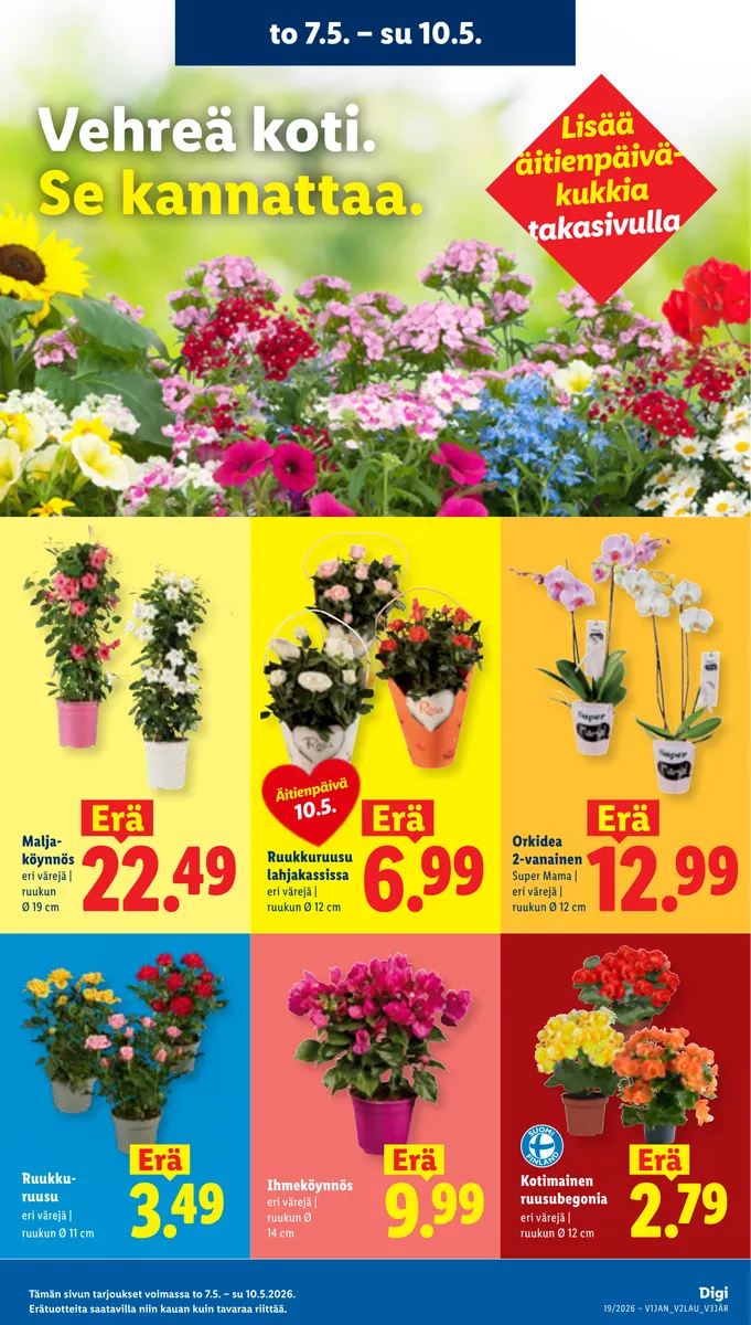 Lidl Koko Suomen Tarjoukset to 7.5. – ti 12.5. sivu 20