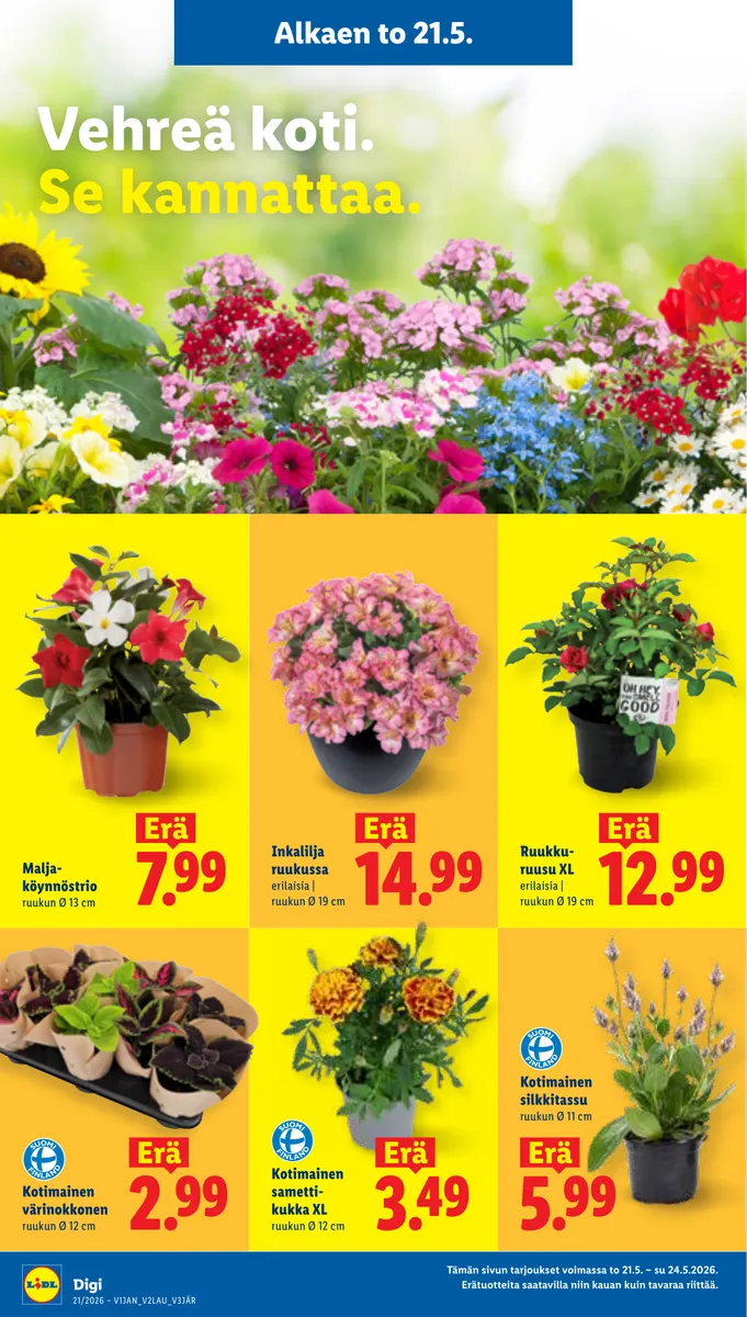 Lidl Koko Suomen Tarjoukset to 21.5. – ke 27.5. sivu 11