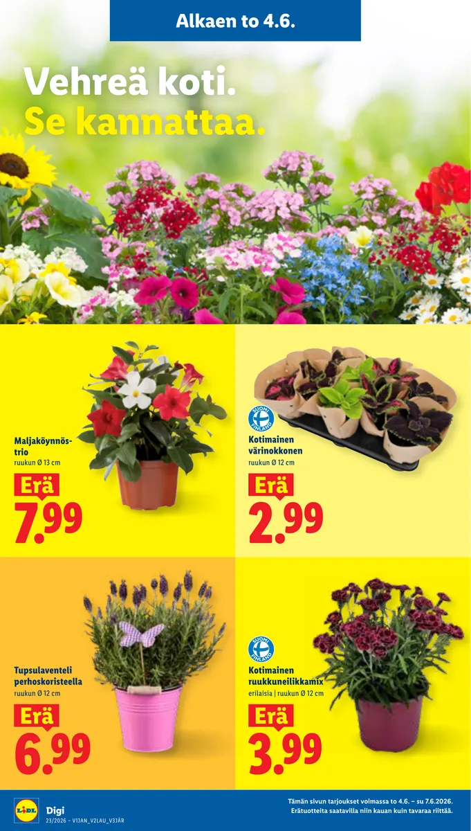 Lidl Koko Suomen Tarjoukset to 4.6. – ke 10.6. sivu 20