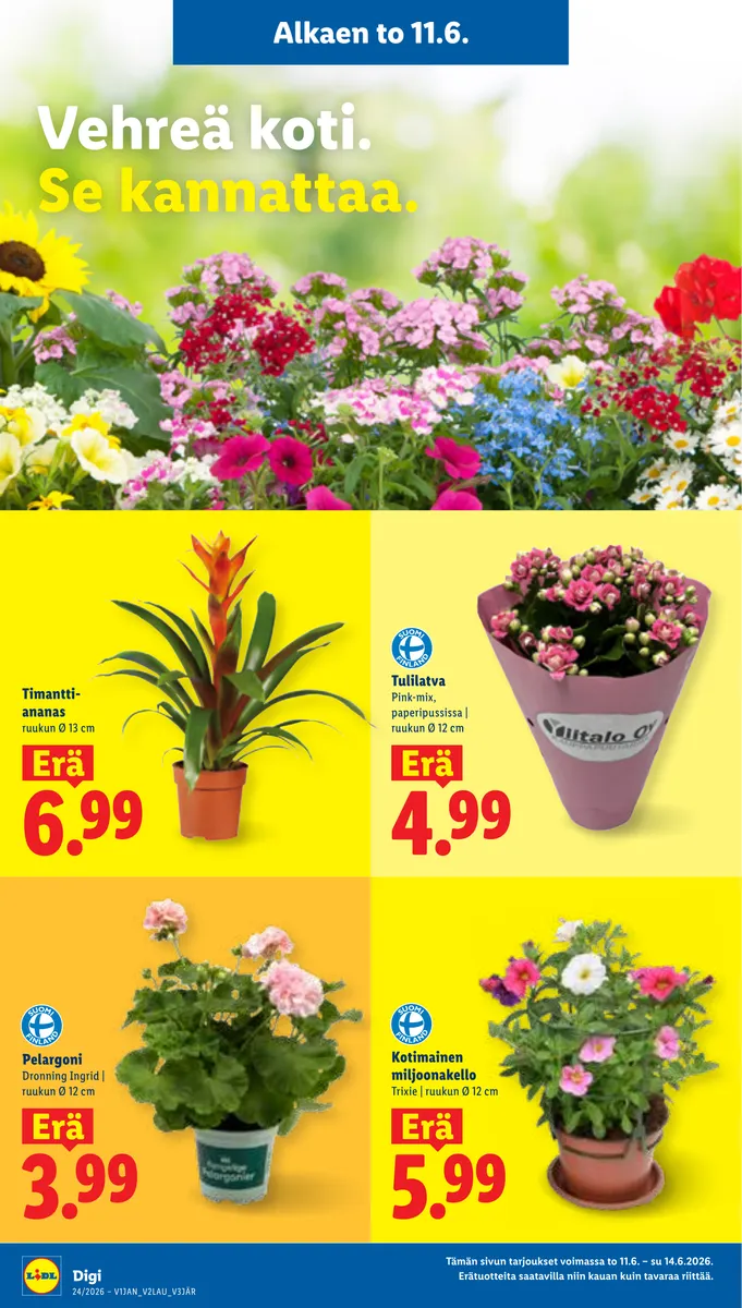 Lidl Koko Suomen Tarjoukset to 11.6. – ti 16.6. sivu 20