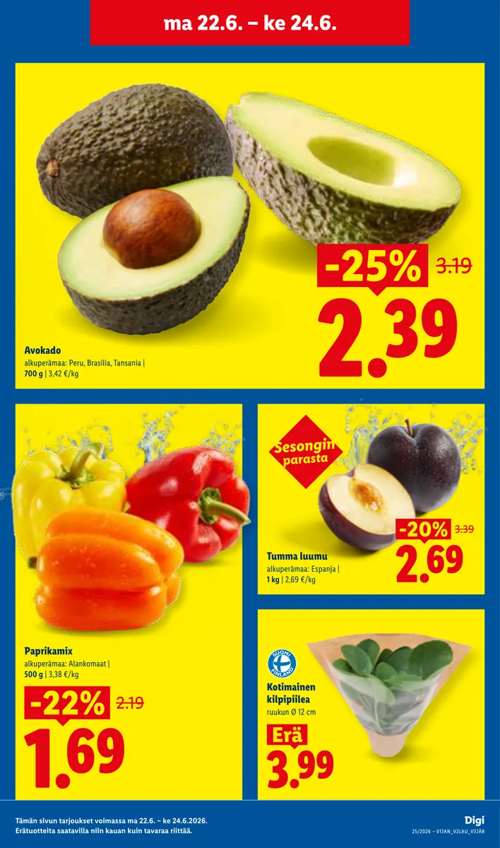 Lidl Koko Suomen Tarjoukset ke 17.6. – ke 24.6. sivu 17