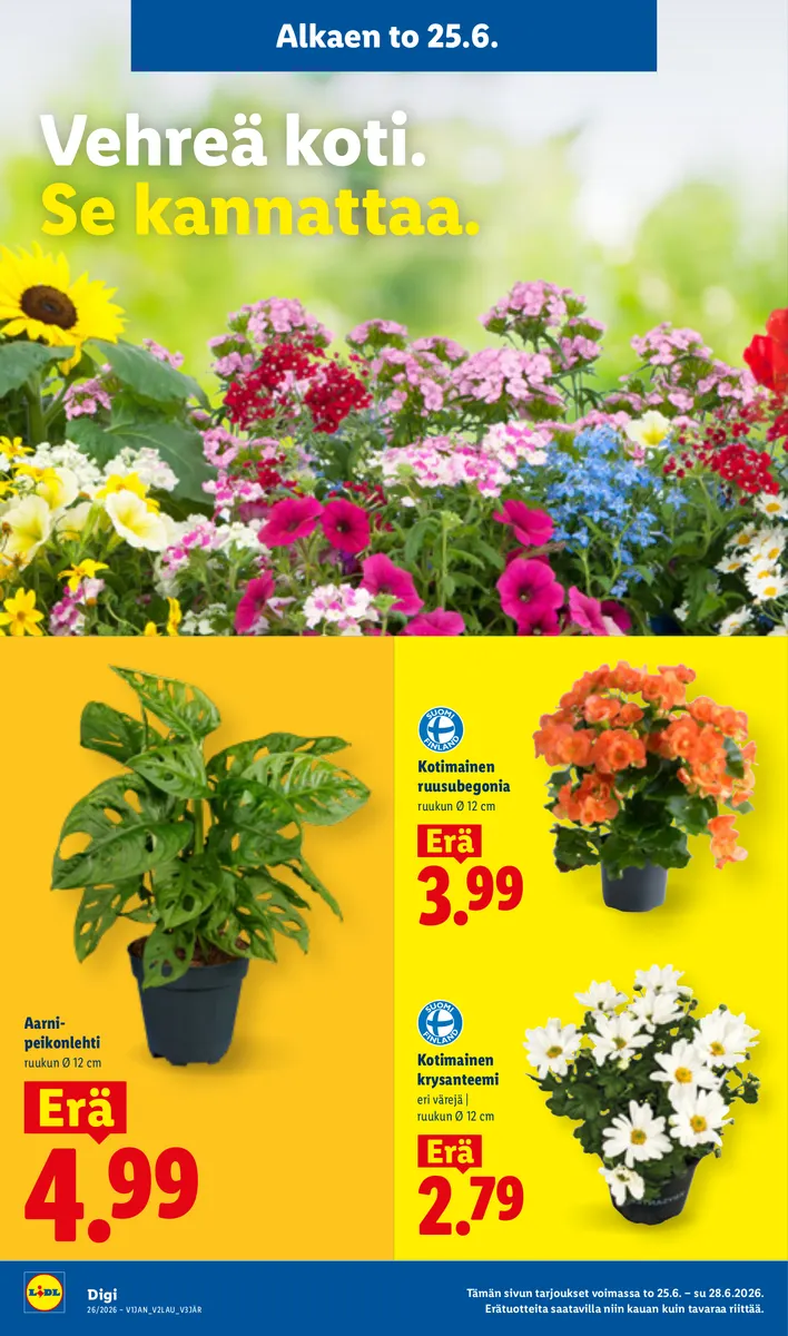 Lidl Koko Suomen Tarjoukset to 25.6. – ke 1.7. sivu 17
