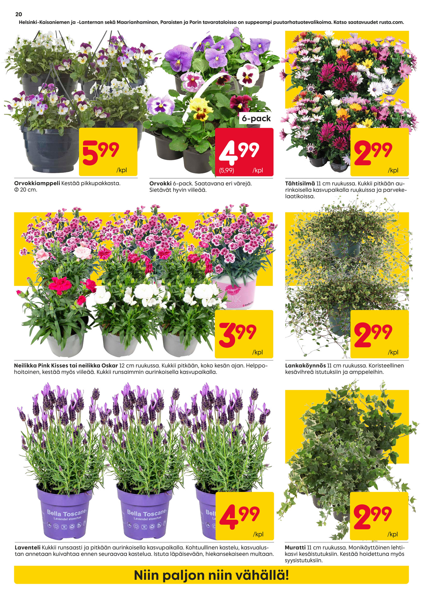 Rusta DM 2616 FI sivu 20