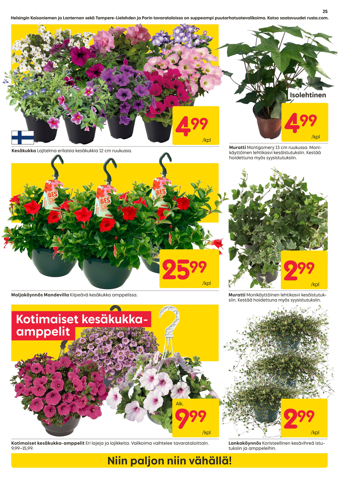Rusta DM 2620 FI sivu 25